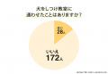 犬のしつけに悩む飼い主は8割以上！基本的なトレーニ