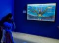 累計11万人を動員した、体験型アート展『旅する光の切
