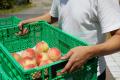蛇口から山梨県産100％の桃ジュースが出てくる「モモ