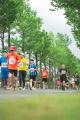 春のあわらを駆け抜ける！第22回あわら市トリムマラソ