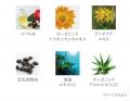 6.19 debut 一本一本を太く。長く、濃密な髪へ導く。