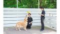 with Dogs clubのプロドッグトレーナー「ワンコutf-8