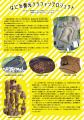 【宮崎県新富町】九州最大の形象埴輪群「宮崎県百足塚