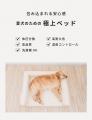 【ペットオーナー必見】“おしゃれすぎる”と話題のペッ