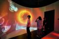 “一目惚れ”をテーマに、五感で楽しむ体験を｜glo(TM)