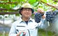 “地産全消”で地域の美味しさを全国に　季節限定「野菜