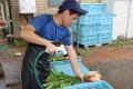 【静岡・三島】箱根西麓の夏野菜が集結坂もの野菜祭り
