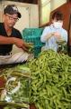 【静岡・三島】箱根西麓の夏野菜が集結坂もの野菜祭り