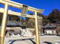 森は“所有”から“レンタル”する時代へ。都市と自然が交