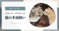 ペット保険比較サイト「もっとも読まれたお役立ち記事