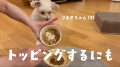 愛犬の「おいしい！」が止まらない！フレッシュペット