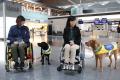 介助犬トレーニングを中部国際空港セントレアで実施！