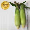 農産品のさらなる価値向上を目指す青果物の品評会「野