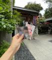 SNS総フォロワー11万人のOshicocoが調査！『2025年下