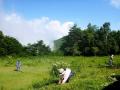 希少な草原を保全するイベント、「2025 峰の原の草原