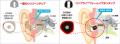 COMPLY(TM) 「TrueGrip(TM) MAX for Apple AirPods Pr