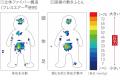 業界初(※1)掛けふとんが顔にかからず窒息リスクutf-8