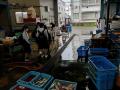 宇治山田商業高校生徒が伊勢志摩の郷土料理『手こね寿