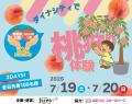 ダイナシティ（小田原）最大75％OFF！夏の大セールを