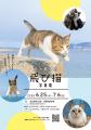 愛知県初開催！写真家 五十嵐 健太の飛び猫10周utf-8
