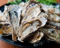 海鮮パフェが登場！鮮度抜群の食材を7種以上使用し、