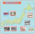 実は北海道から九州まで全国に生産地が広がっているサ