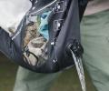 長期休みの旅行でも大活躍！Makuakeで「Hand WashBag