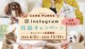 アニコムの愛犬・愛猫用おやつ「CARE PUREE」にビーフ