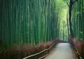 京都で“香りを持ち帰る”人が急増中！MY ONLY FRAGRANC