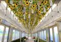 のせでん夏の風物詩 風鈴電車《音色彩る（ねいろutf-8
