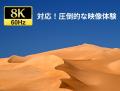 8K60Hz/4K120Hz対応！PD給電対応Type-Cポートを搭載し