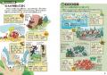 ポケモン生態図鑑２０２５年６月１８日(水)　本日発売