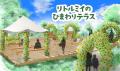 びしょ濡れ派も、ゆったり派も楽しめる。この夏、『ム