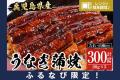 ふるさと納税サイト「ふるなび」が、6月29日（日）ま