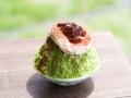 この夏も会える！静岡の風物詩「茶氷プロジェクト」20