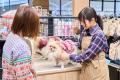 6月27日「ゆめタウン中津」にペテモ中津店グランドオ