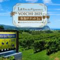 北海道余市町：余市ラフェト2025、9月7日(日)に開催決