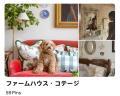 Pinterest 2025 年夏トレンドレポート