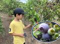 【夏休みの過ごし方】秩父リバークルーズキャンプ