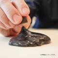 毎年満員御礼！　ホームセンターグッデイ全店にて　20