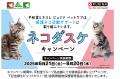 【平和堂】6月28日(土) アル・プラザ鶴見にて「ネコの