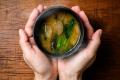 味噌で勝負。“寝かせ玄米”のYUWAERUがお味噌の老舗『