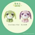 「お茶犬 POP UP SHOP by VILLAGE VANGUARD」6/27～静