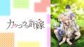 新作夏アニメ『カッコウの許嫁Season2』「ABEMA」で7