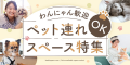 【2025年トレンド予測】レンタルスペース予約サイト「