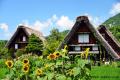絶景ドライブ旅【白山白川郷ホワイトロード】片道無料