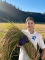 夏の食卓に自然の力を。秋田県産あきたこまちの発酵玄