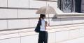 閉じるだけで一気にたためる傘に撥水力をプラス「Shup