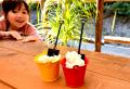 『大内山酪農 × ストーンハンター伊勢志摩』夏休み限
