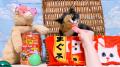 いなばペットフード　全国の猫ちゃんたちが登場！2025